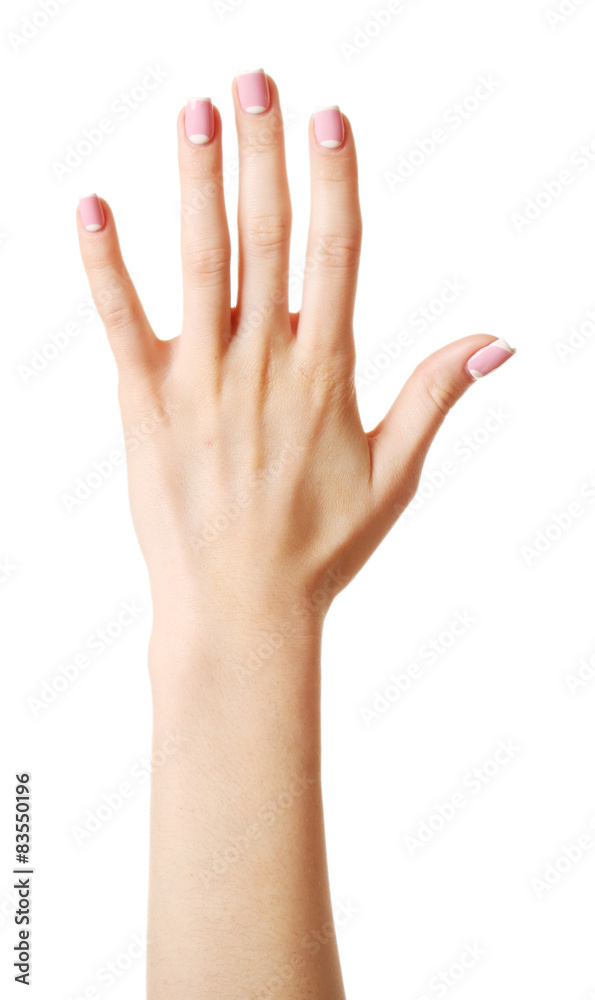 Female hand isolated on white Female hand isolated on white