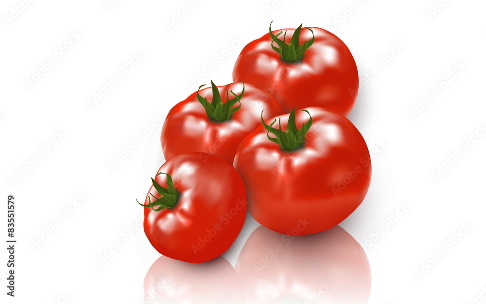 Grupo de tomates sobre fondo blanco