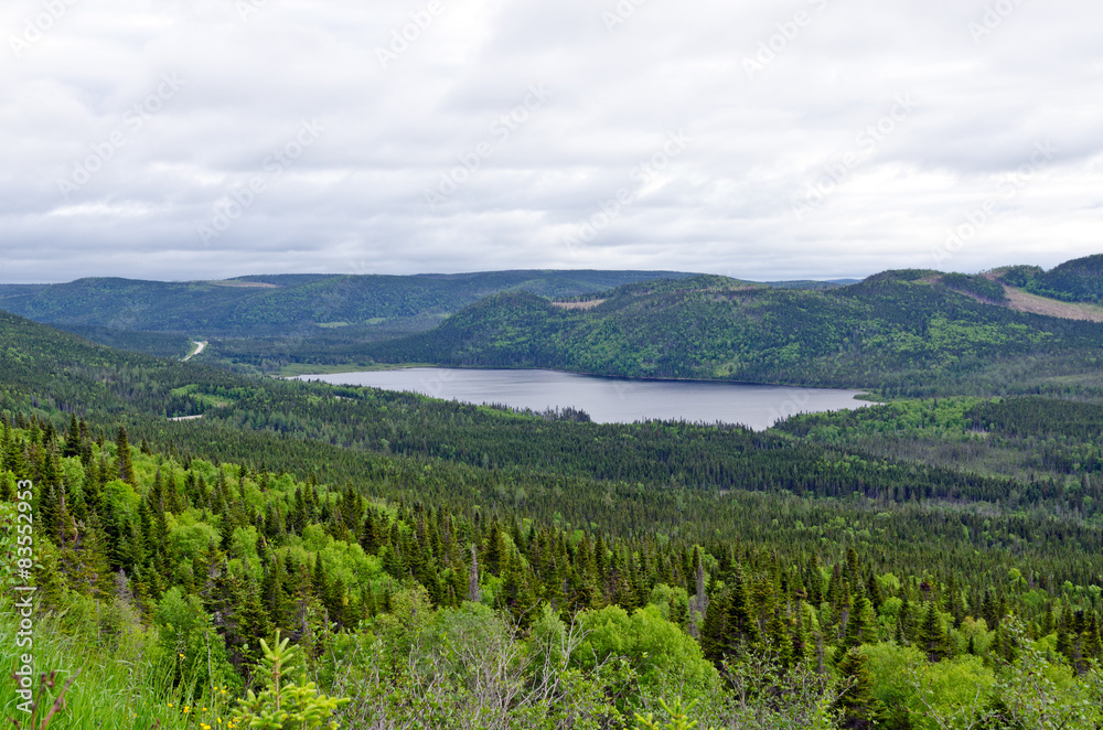 Naklejka premium Gros Morne National Park