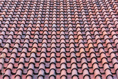 Dach mit roten Dachziegeln © E. Adler