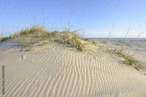Sand Dunes of Outer Banks in North Carolina