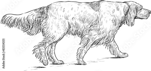 Retriever sketch