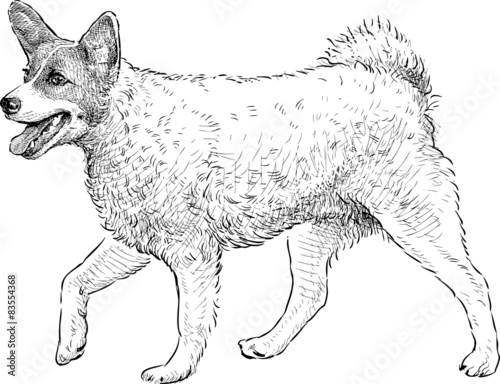 striding dog