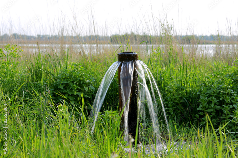 Fototapeta premium water source