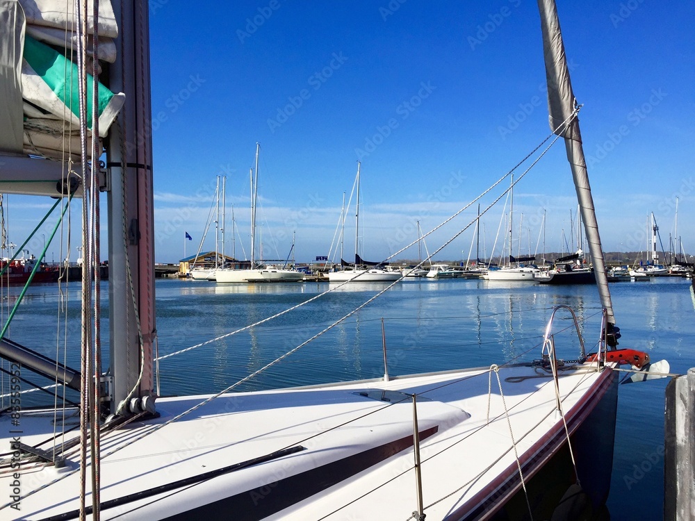 Fototapeta premium sailing