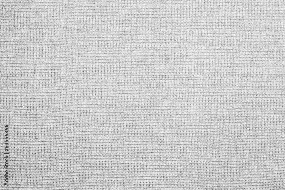 Fototapeta premium gray texture