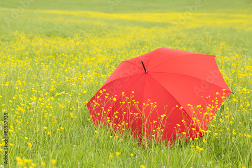 Red umbrella in a green field