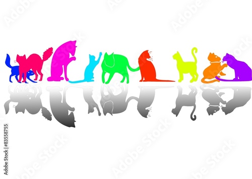 chats photo