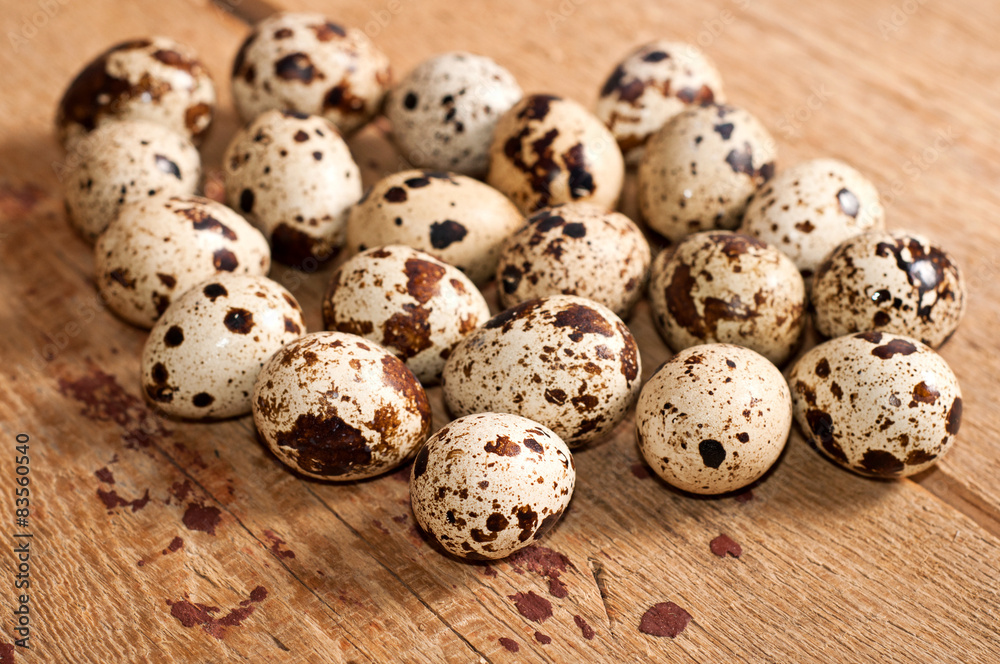 Quail eggs