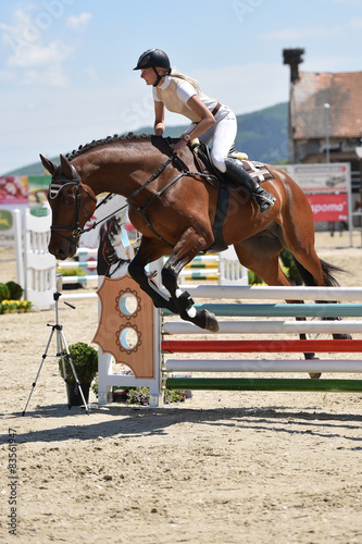 horse jumping