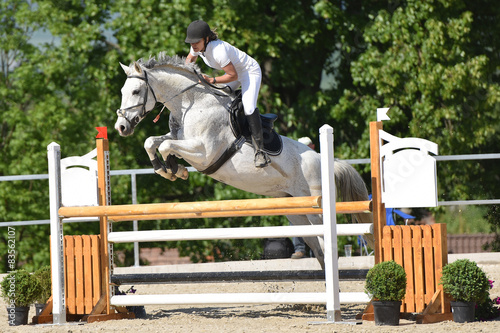 horse jumping