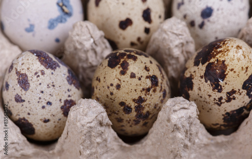 quail eggs
