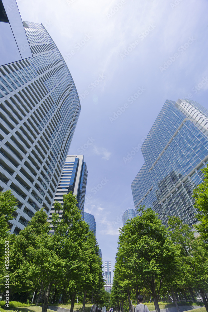品川　高層ビル群と新緑