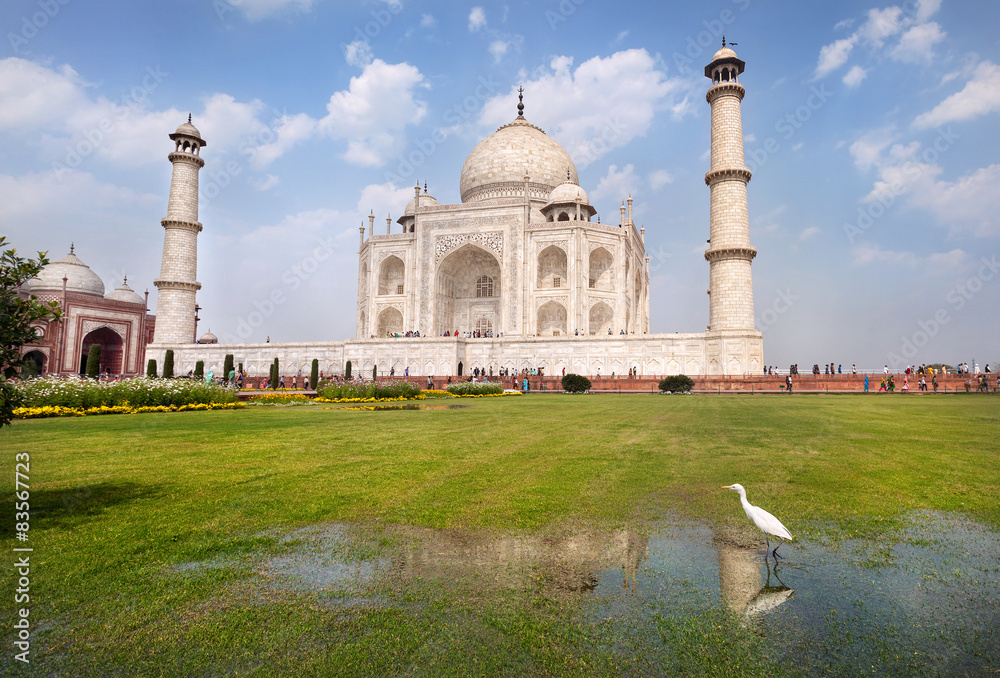 Heron near Taj Mahal