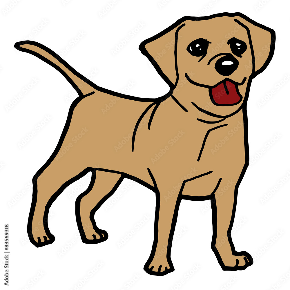 Fototapeta premium image of cute puppy dog isolated on white vector 