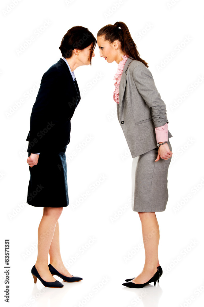 Two angry businesswomans face to face. Two angry businesswomans face to face.