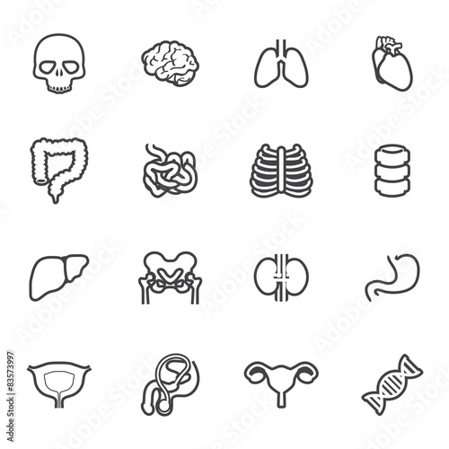 icon organ medical set