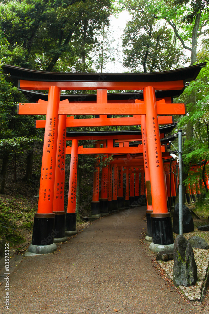 Torii gates at Fushimi Inari-Taish shrine in Kyoto Japan
