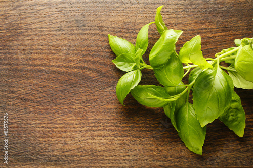 Basil leaves on wooden background