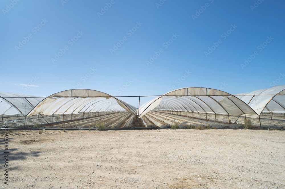 Greenhouse without plants