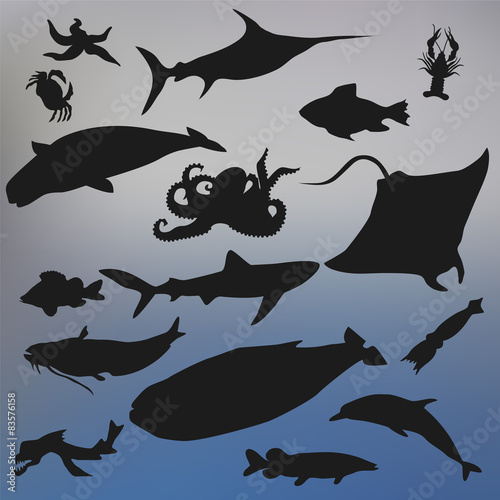 set of fish silhouette icon on the blurred background. stock vec