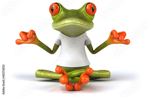 Photo Frog with a white tshirt