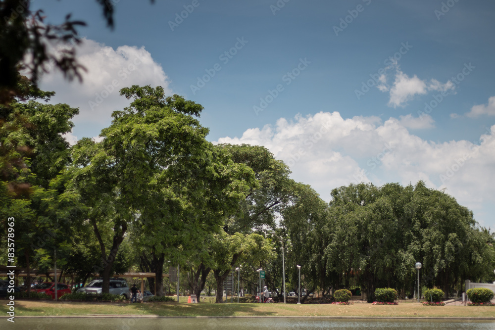 Lakeside park with trees and blue sky in the background. Lakeside park with trees and blue sky in the background.