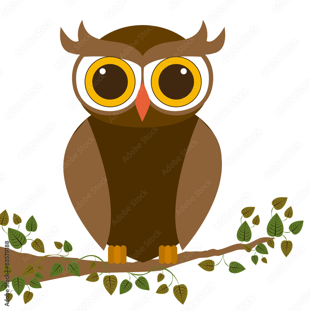 Obraz premium Owl design