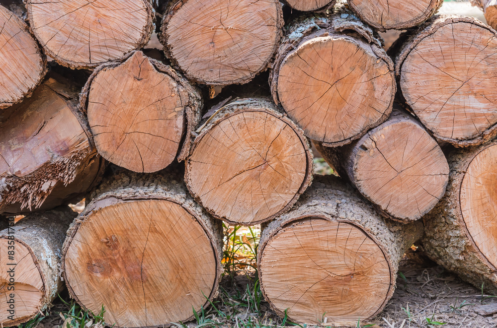 Firewood stacked up in a pile for kindle Firewood stacked up in a pile for kindle