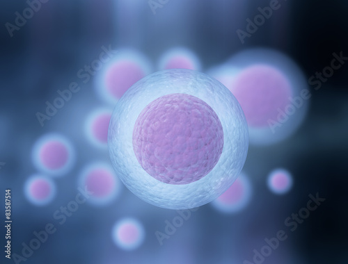 3d rendered illustration of human cells photo