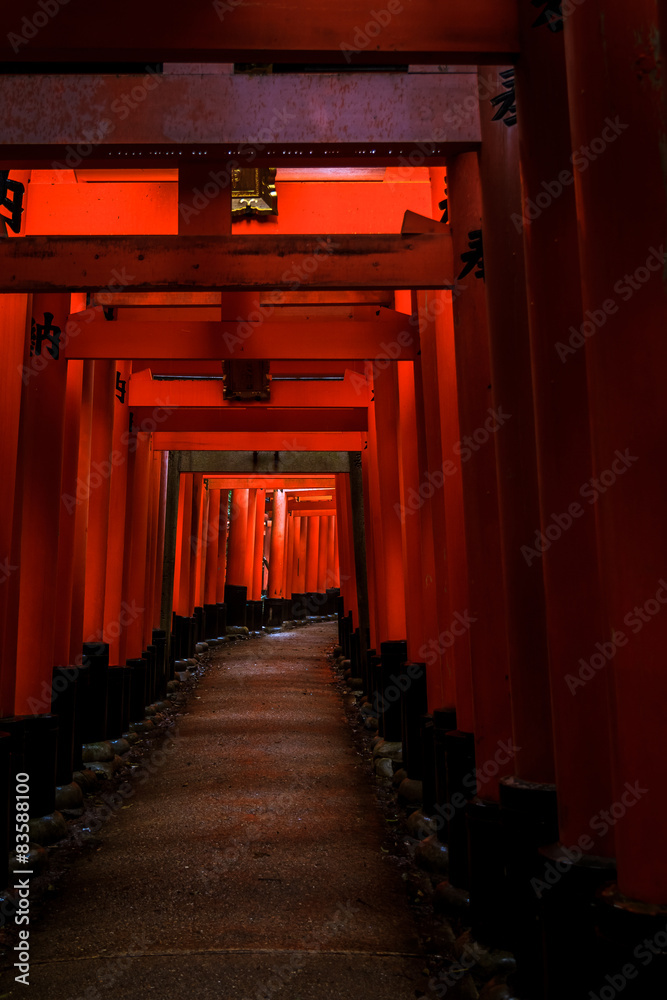 Fototapeta premium Brama Torii