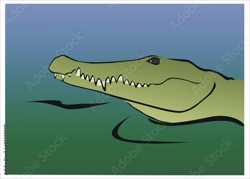 un cocodrilo en el agua