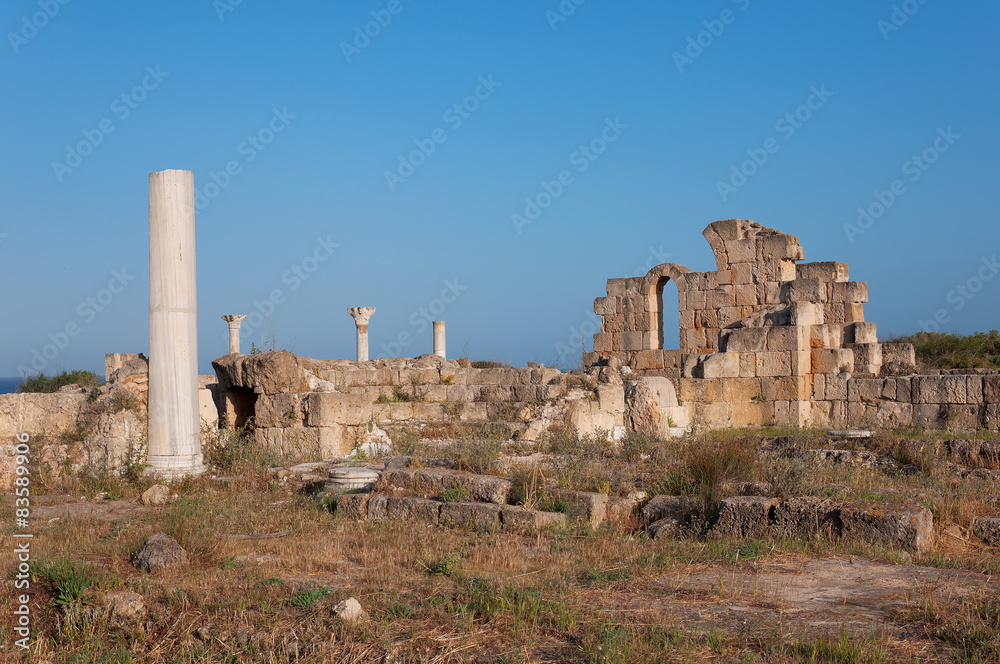 Ancient ruins of Salamis in Cyprus