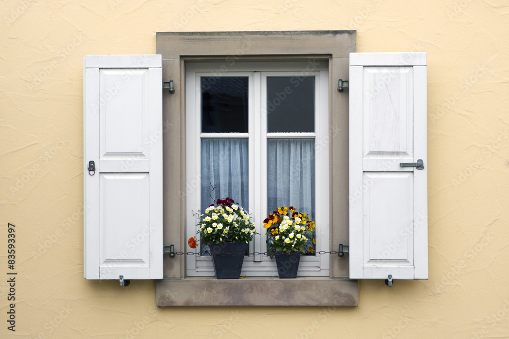 window with shutters and flower pots
