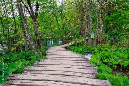 Boardwalk in the park Plitvice lakes © Kavita