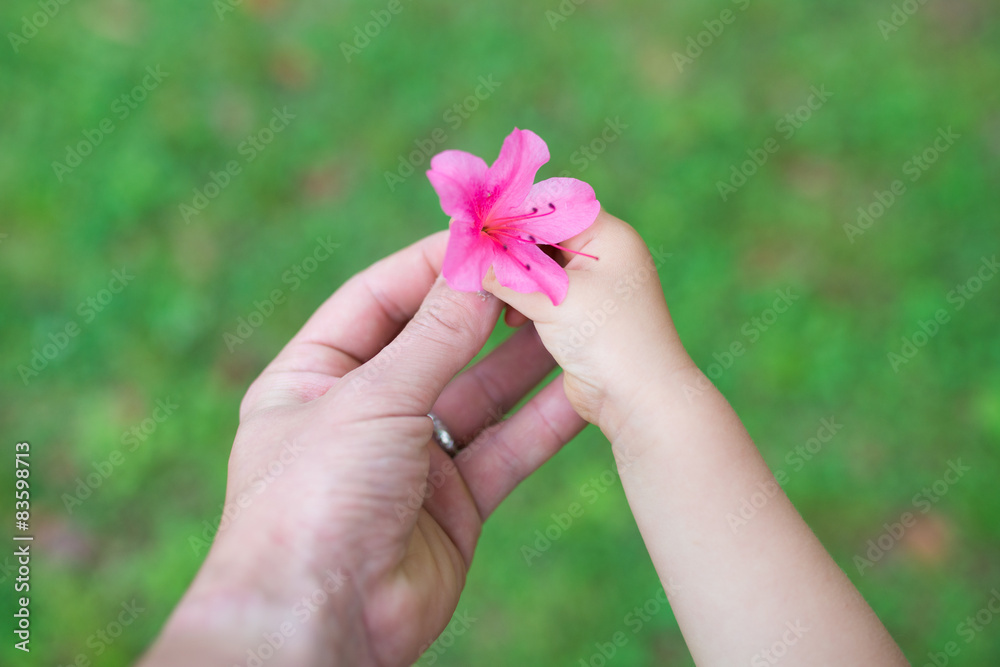 ツツジの花を持つ親子の手