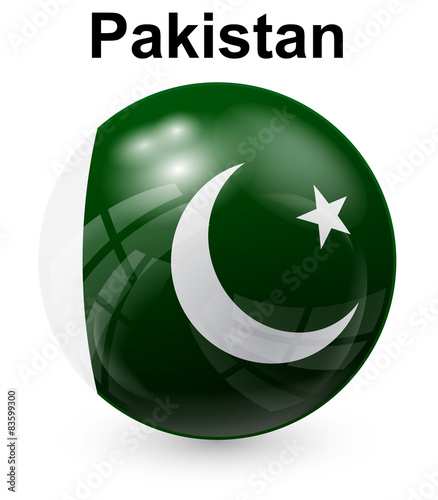 pakistan official state flag #83599300
