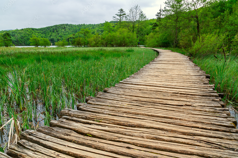 Obraz premium Boardwalk in the park Plitvice lakes