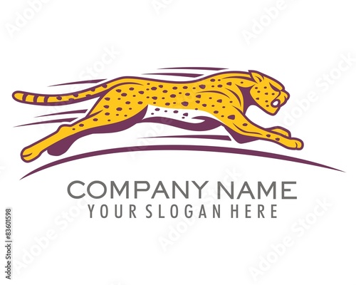 cheetahs sprint logo image vector