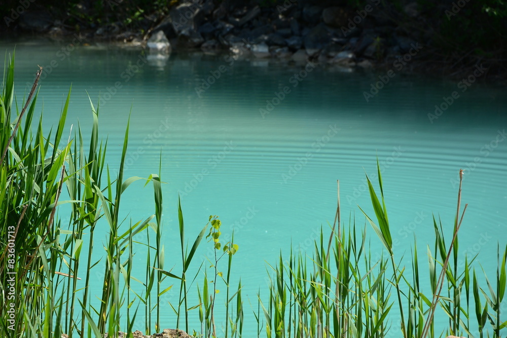 abstract green water background abstract green water background