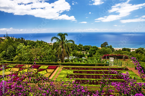 Botanical Garden Monte  Funchal  Madeira  Portugal