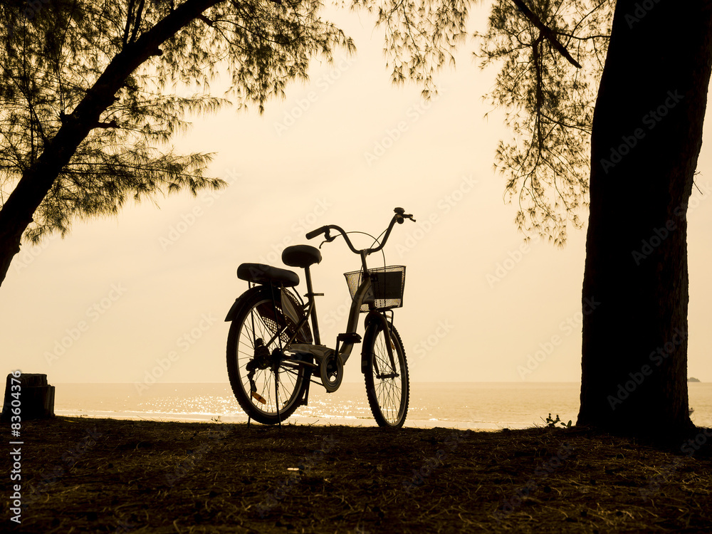 bicycle silhouette on a sunset. Summer landscape