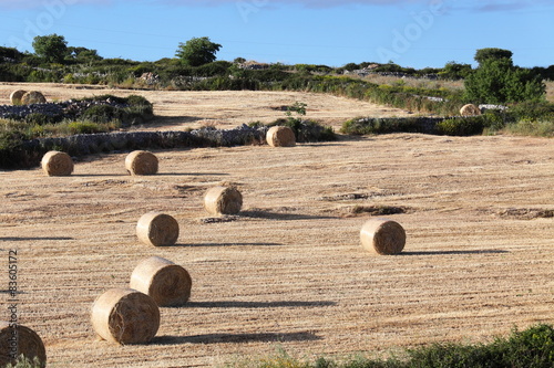 Paesaggio con rotoballe di fieno photo