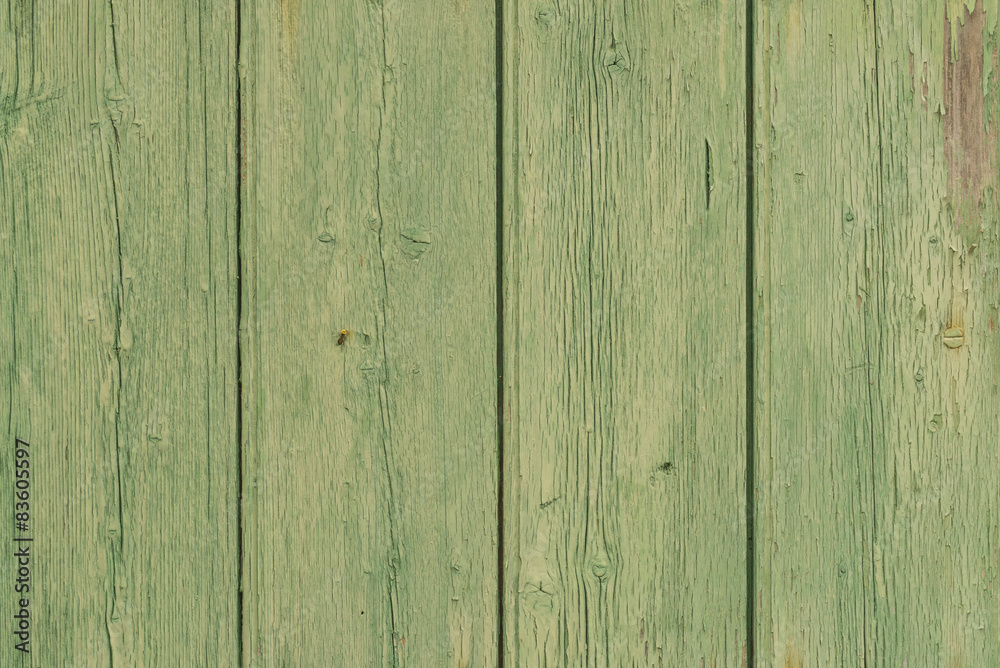 Alte Holz-Latten in pastell-grün Alte Holz-Latten in pastell-grün