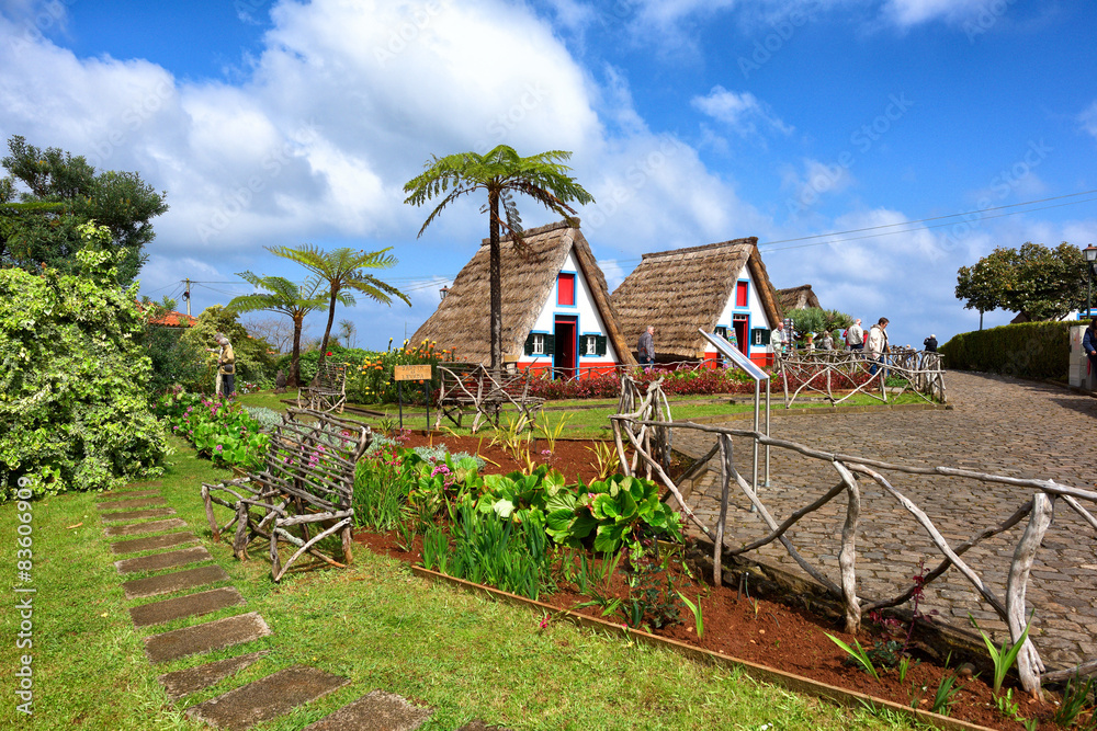 Fototapeta premium Madeira