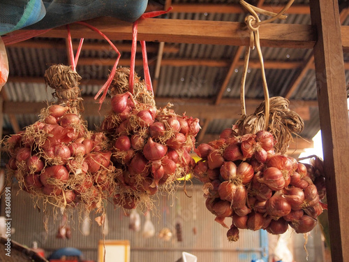 Shallot onions photo