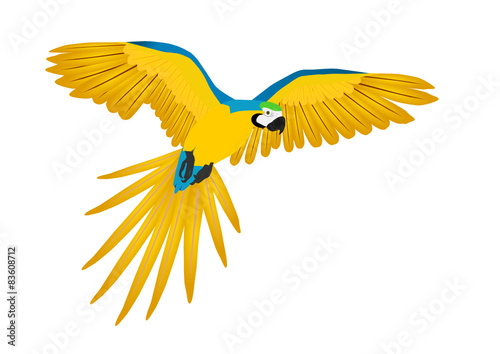 Ara im Flug