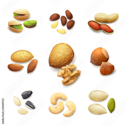 Nuts Realistic Set