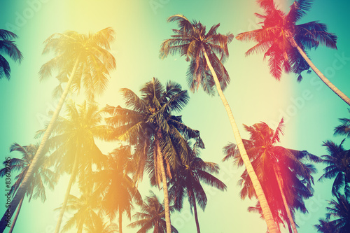 Palm trees over sky on beach, vintage stylized photo with yellow and red light leaks