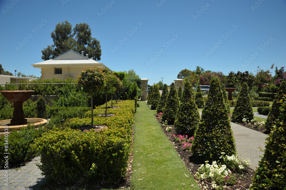 Peaceful garden with beautiful fresh green plants